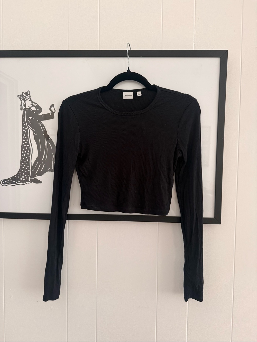 Aritzia Sunday Best Crop Long Sleeve- S
